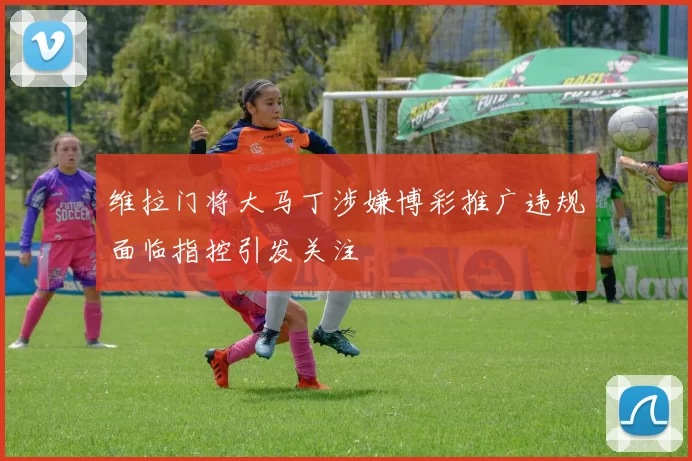 维拉门将大马丁涉嫌博彩推广违规面临指控引发关注